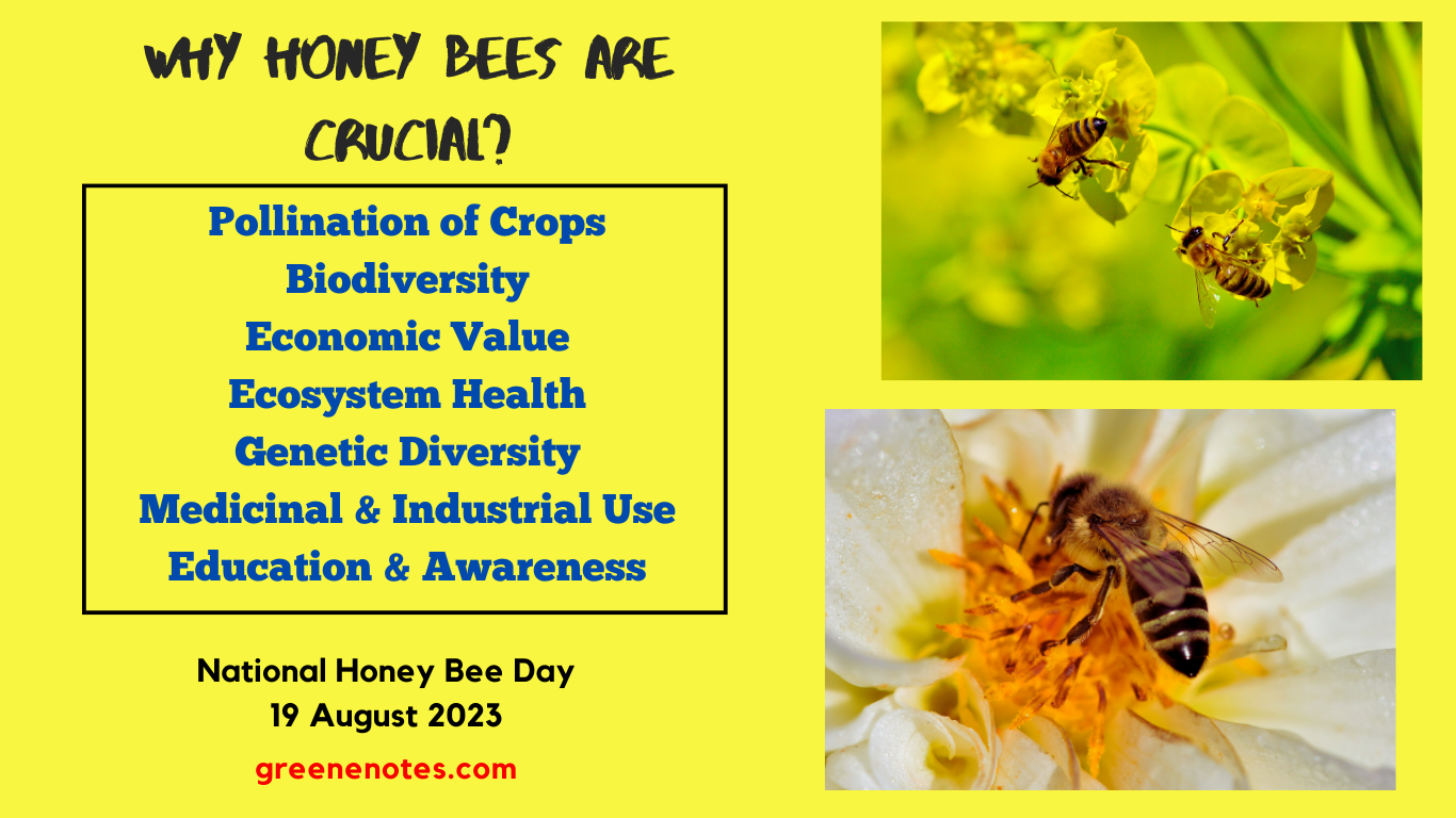 National Honey Bee Day 2023 Goal And Significance