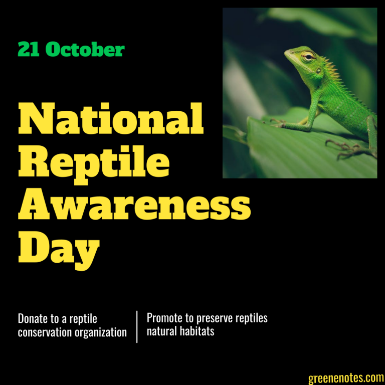 National Reptile Awareness Day | Importance of Reptiles-2022