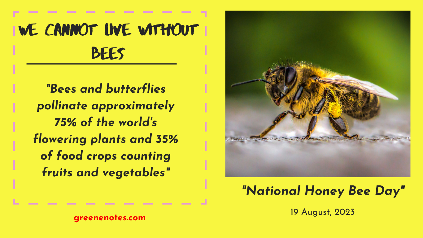 National Honey Bee Day 2023 Goal and Significance