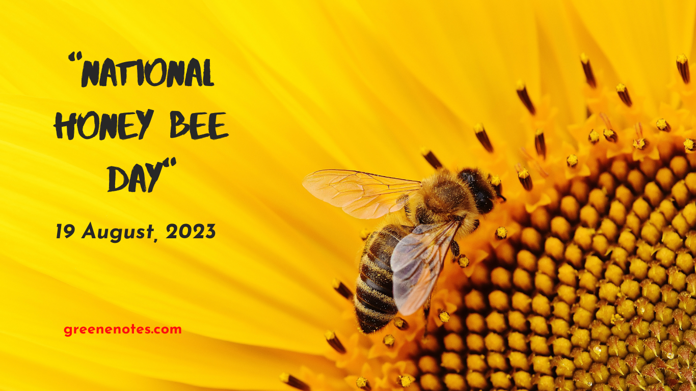 National Honey Bee Day 2023 Goal and Significance